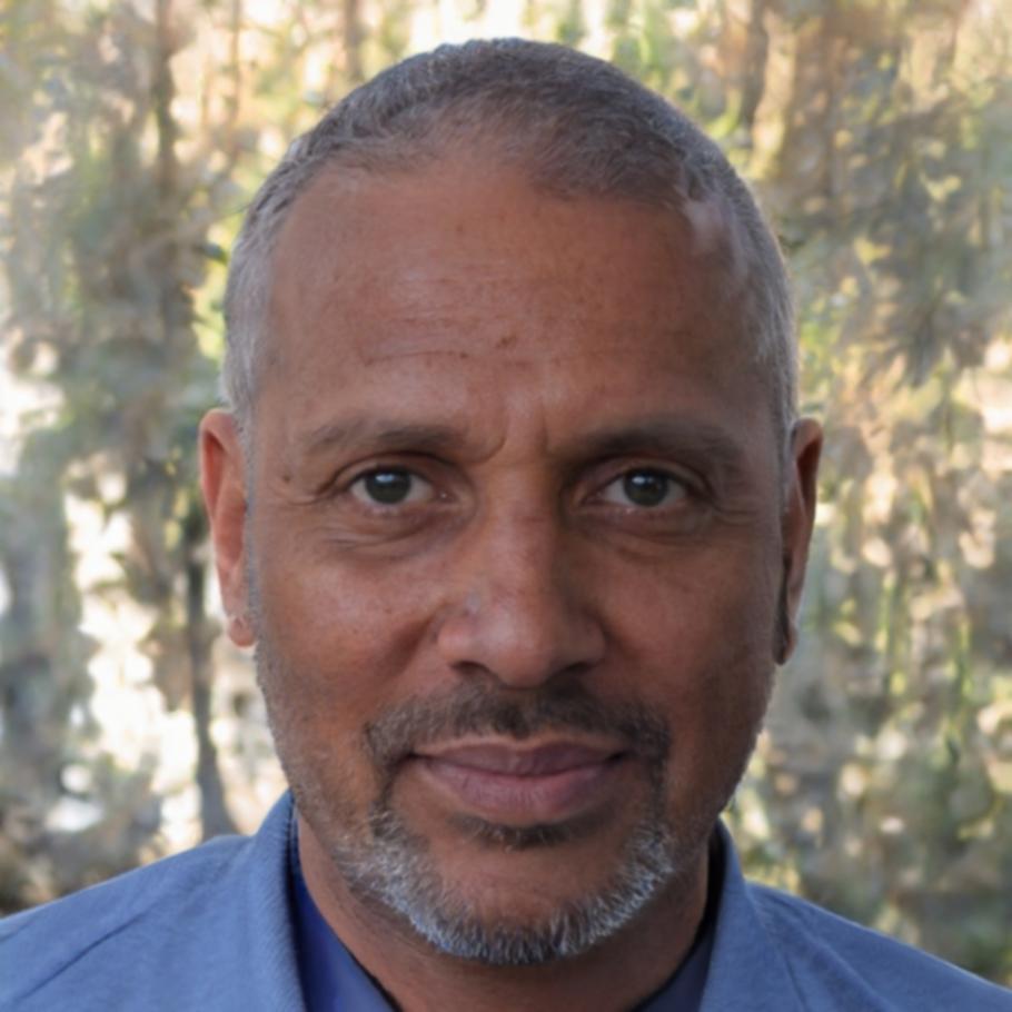 Ritratto professionale di Romolo Santangelo